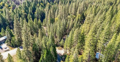 13651 Us-50, Kyburz, CA 95720 Photo
