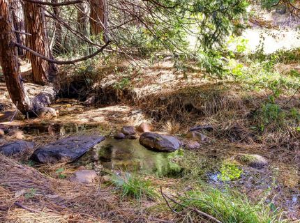 13651 Us-50, Kyburz, CA 95720 Photo
