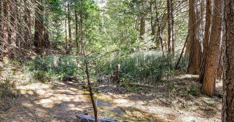 13651 Us-50, Kyburz, CA 95720 Photo