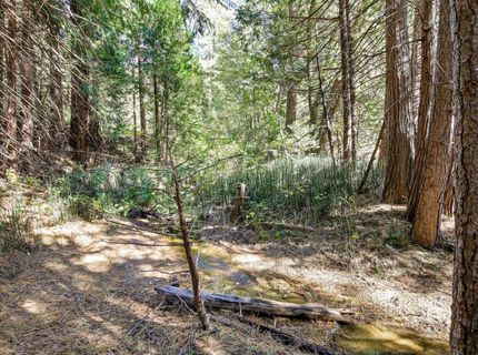 13651 Us-50, Kyburz, CA 95720 Photo