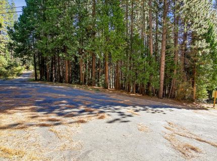 13651 Us-50, Kyburz, CA 95720 Photo
