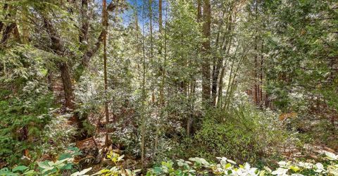 13651 Us-50, Kyburz, CA 95720 Photo