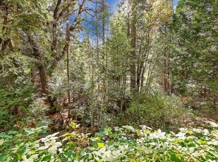 13651 Us-50, Kyburz, CA 95720 Photo