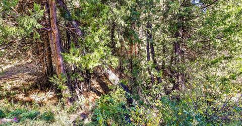 13651 Us-50, Kyburz, CA 95720 Photo