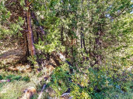 13651 Us-50, Kyburz, CA 95720 Photo