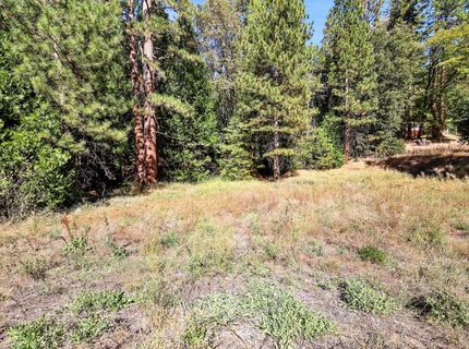 13651 Us-50, Kyburz, CA 95720 Photo