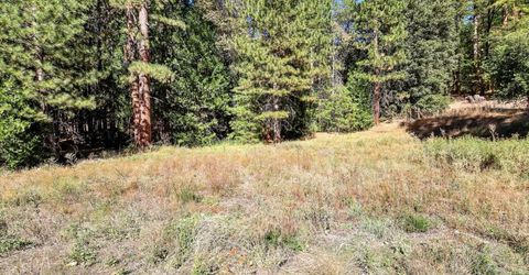 13651 Us-50, Kyburz, CA 95720 Photo