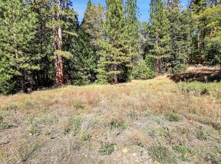 13651 Us-50, Kyburz, CA 95720 Photo