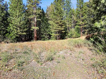 13651 Us-50, Kyburz, CA 95720 Photo