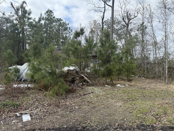 Lot 28 Dr Brown Rd, DeRidder, LA 70633