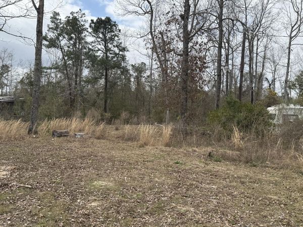 Lot 30 Dr Brown Rd, DeRidder, LA 70633