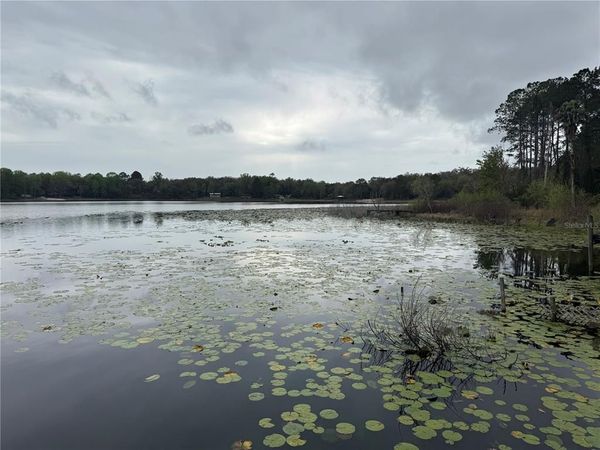 266 ASH STREET, HAWTHORNE, FL 32640