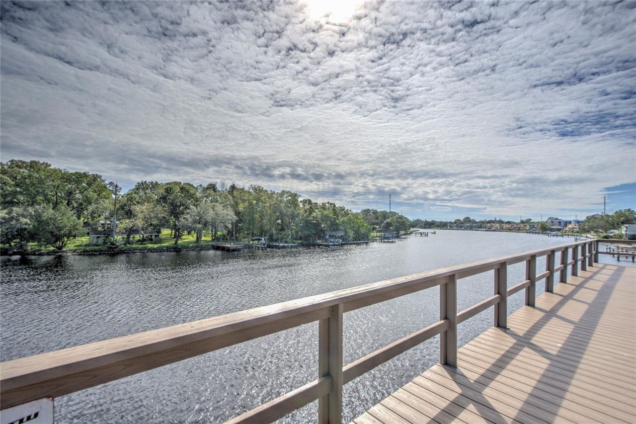 4033 N River View Avenue, Tampa, FL 33607 Photo