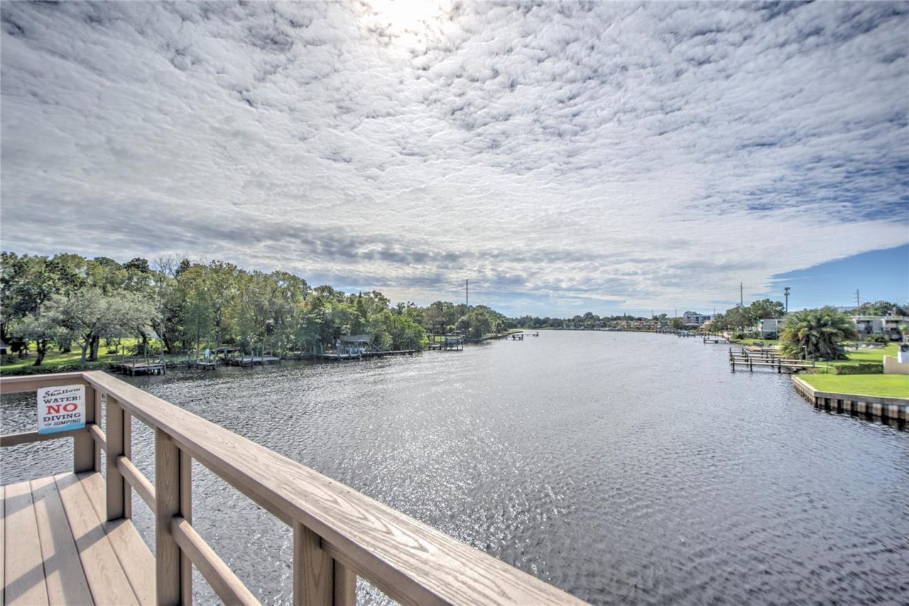 4033 N River View Avenue, Tampa, FL 33607 Photo