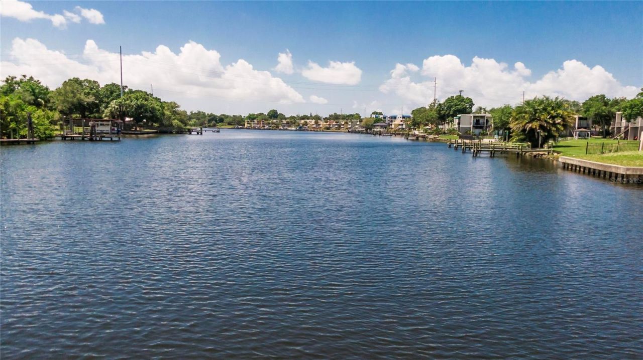 4033 N River View Avenue, Tampa, FL 33607 Photo