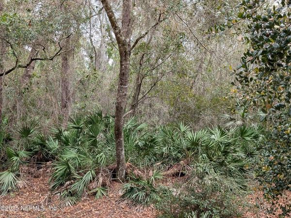 111 CYPRESS Drive, Georgetown, FL 32139