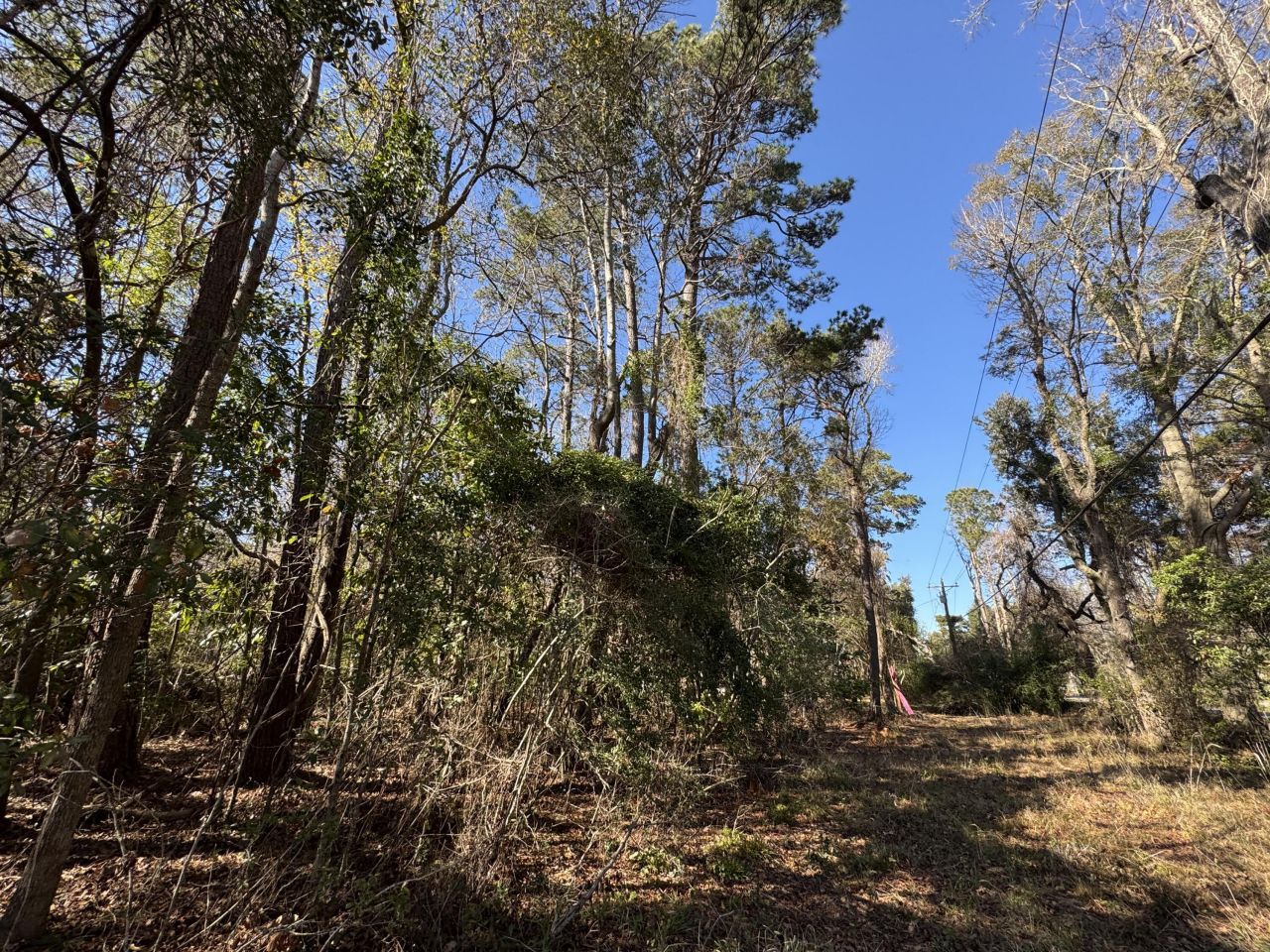 2040 River Road Photo 9