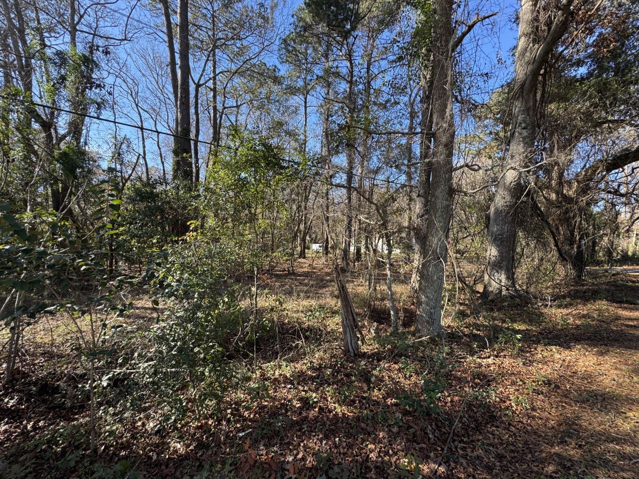 2044 River Road Photo 4