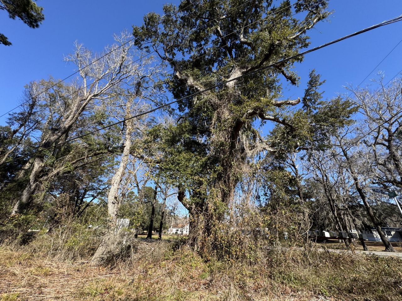 2044 River Road Photo 7