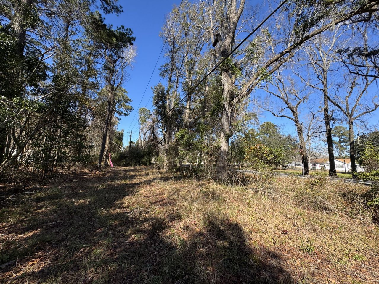 2044 River Road Photo 9