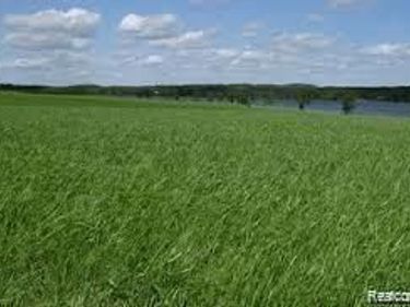 0000 Conrad Drive, Clyde Twp, MI 48049