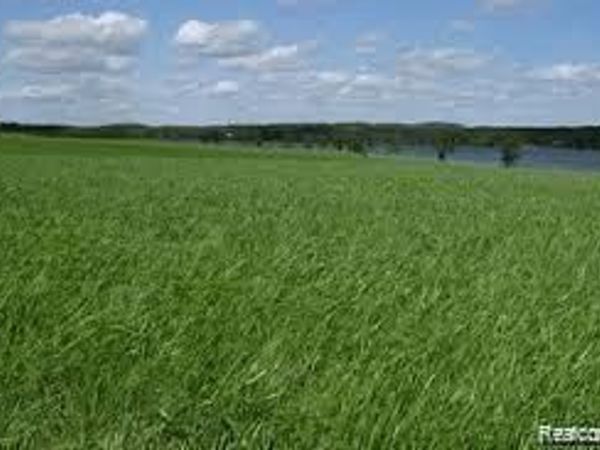 0000 Conrad Drive, Clyde Twp, MI 48049