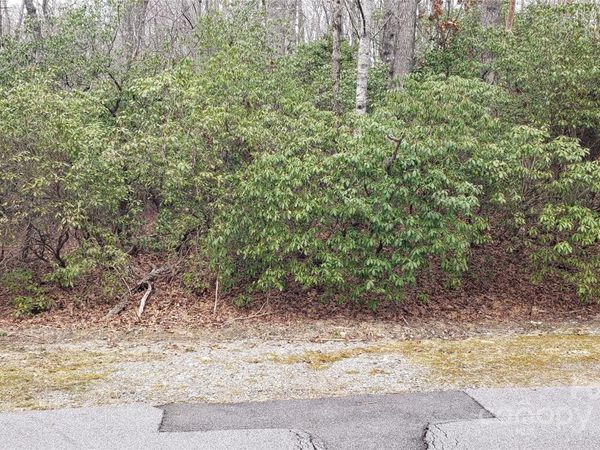 9999 Gagama Court, Brevard, NC 28712