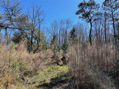 7887 Mary Seabrook Road Photo 11