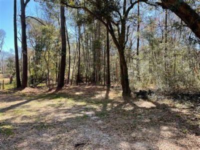 7887 Mary Seabrook Road Photo 12