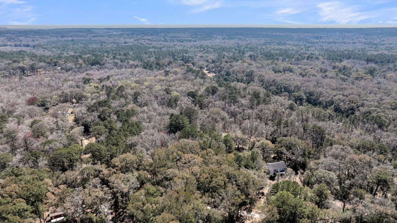 7887 Mary Seabrook Road Photo 13