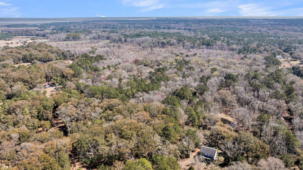 7887 Mary Seabrook Road Photo 14