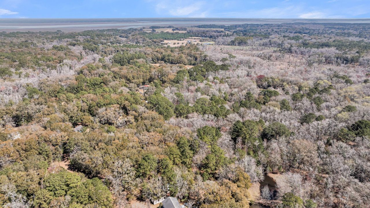 7887 Mary Seabrook Road Photo 15