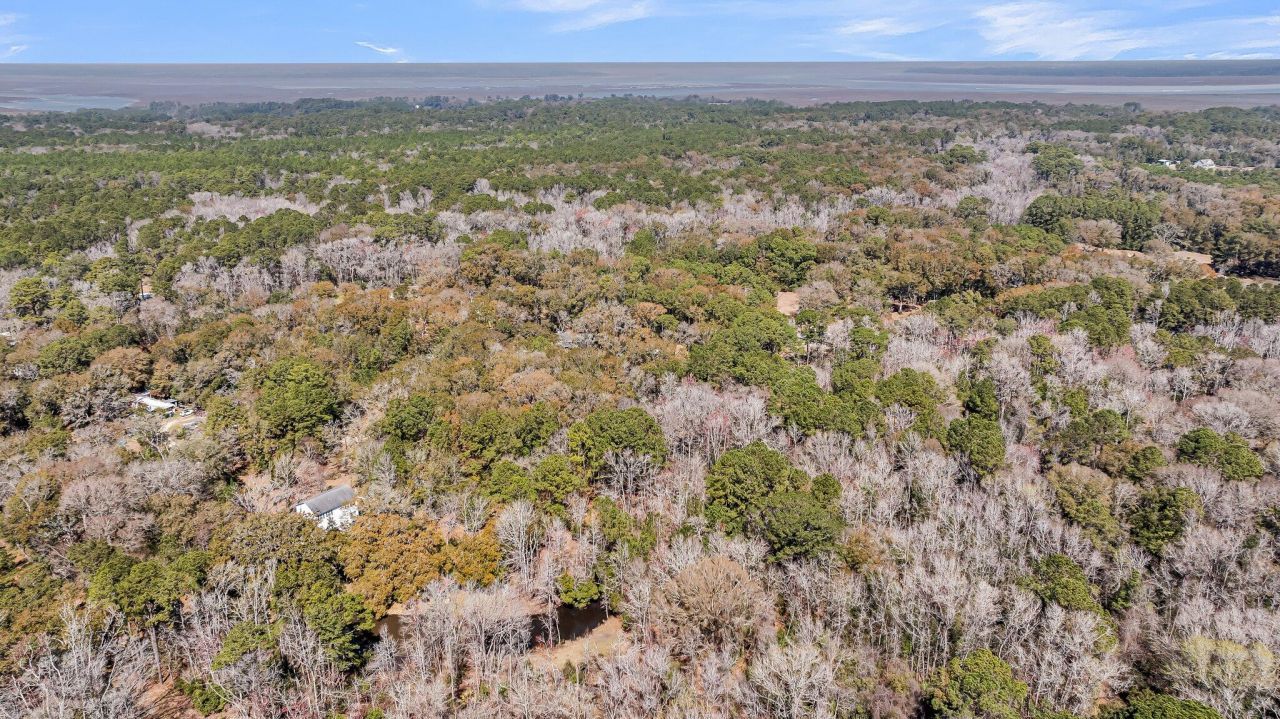 7887 Mary Seabrook Road Photo 16