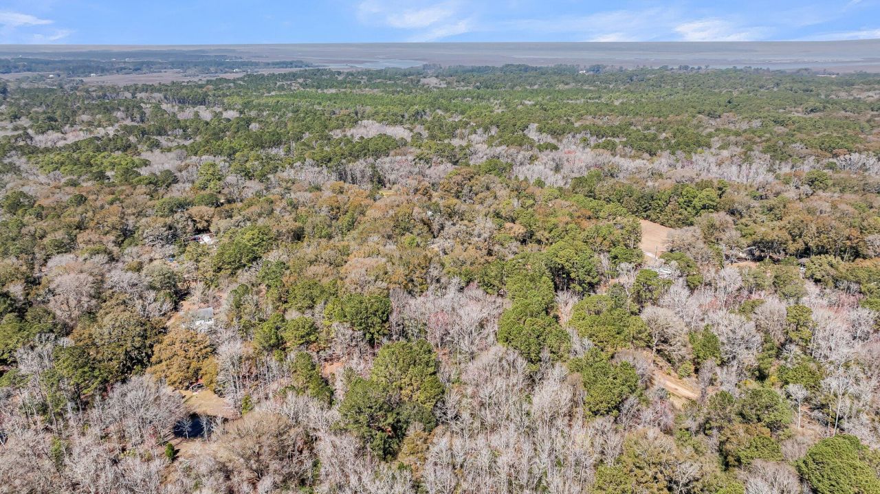 7887 Mary Seabrook Road Photo 17