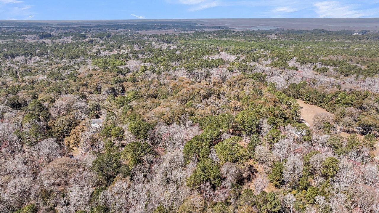 7887 Mary Seabrook Road Photo 18