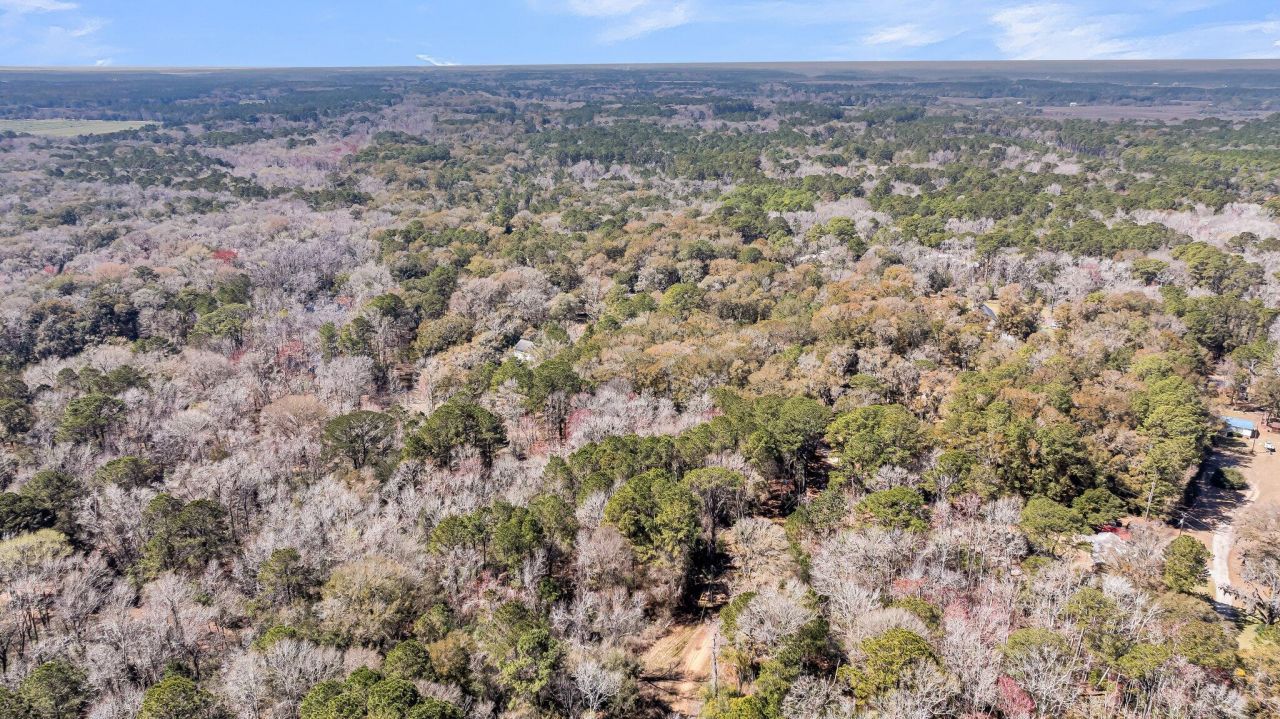 7887 Mary Seabrook Road Photo 19