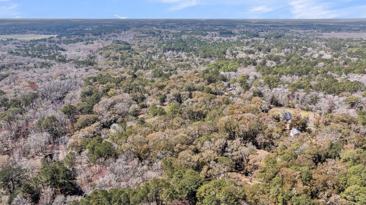 7887 Mary Seabrook Road Photo 20