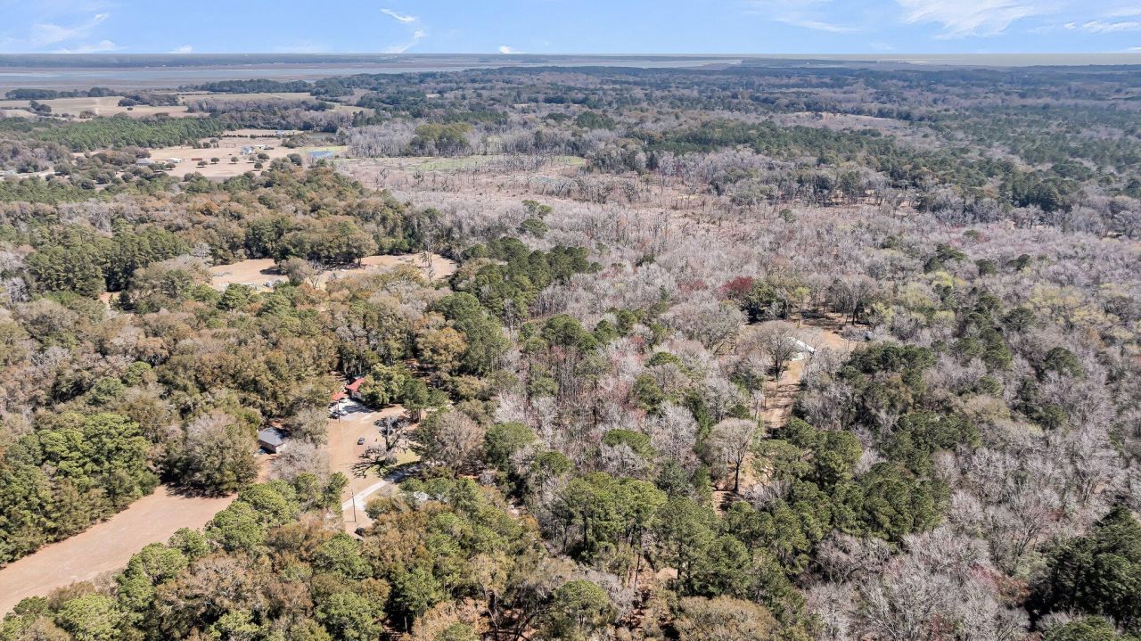 7887 Mary Seabrook Road Photo 22