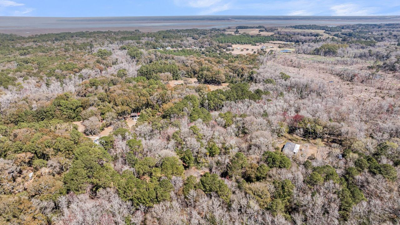 7887 Mary Seabrook Road Photo 24