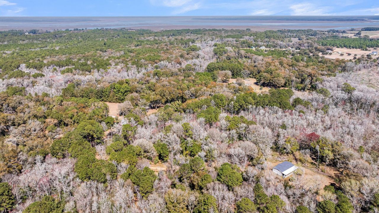 7887 Mary Seabrook Road Photo 25