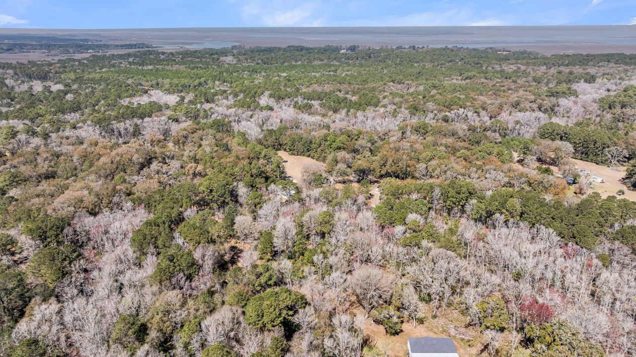 7887 Mary Seabrook Road Photo 26