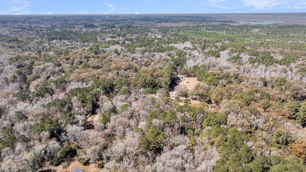 7887 Mary Seabrook Road Photo 28