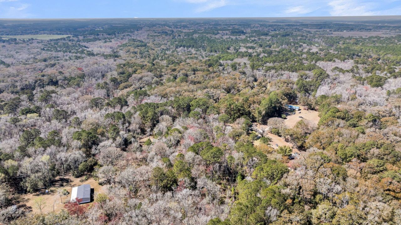 7887 Mary Seabrook Road Photo 29