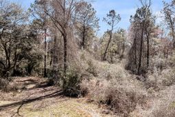 7887 Mary Seabrook Road photo 4