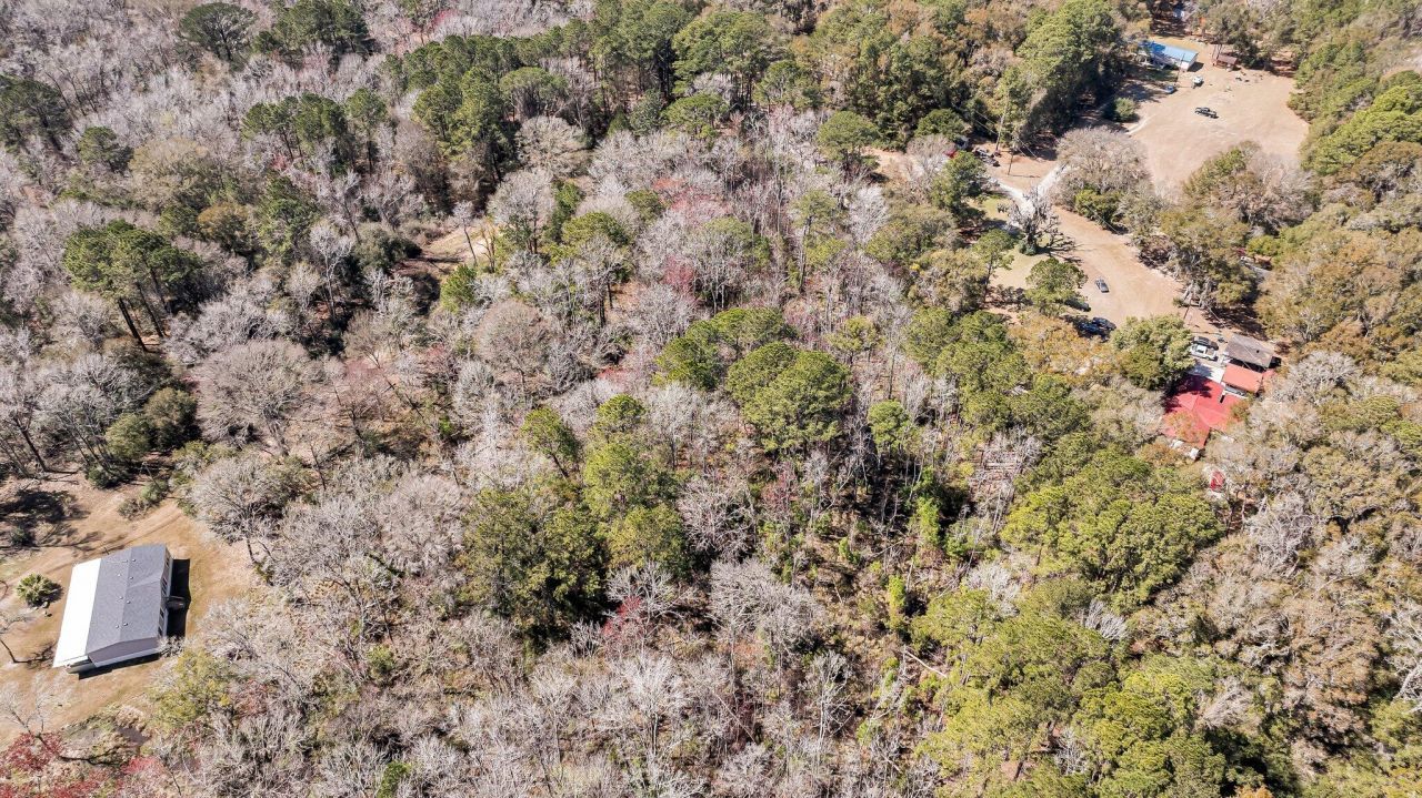 7887 Mary Seabrook Road Photo 30