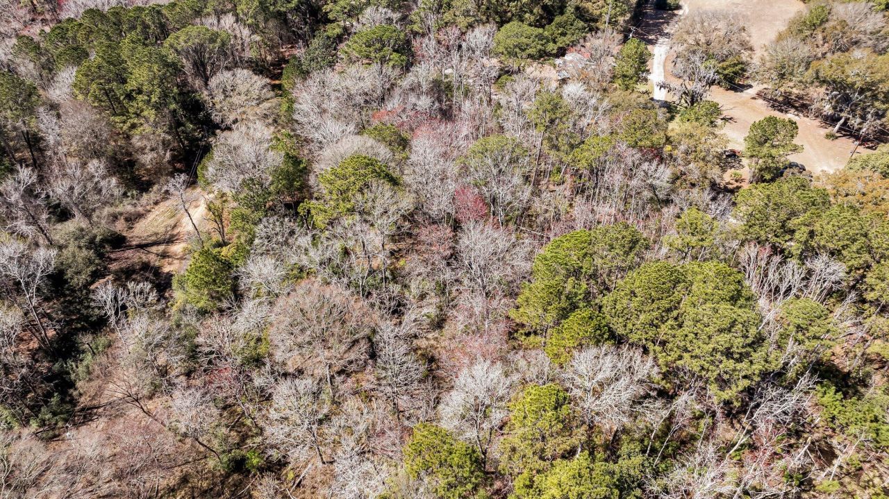 7887 Mary Seabrook Road Photo 31