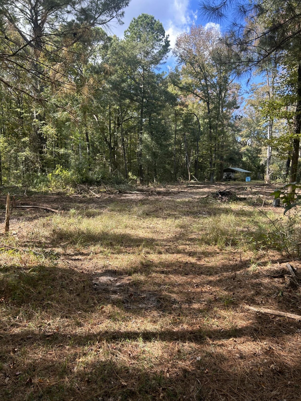 7887 Mary Seabrook Road Photo 33