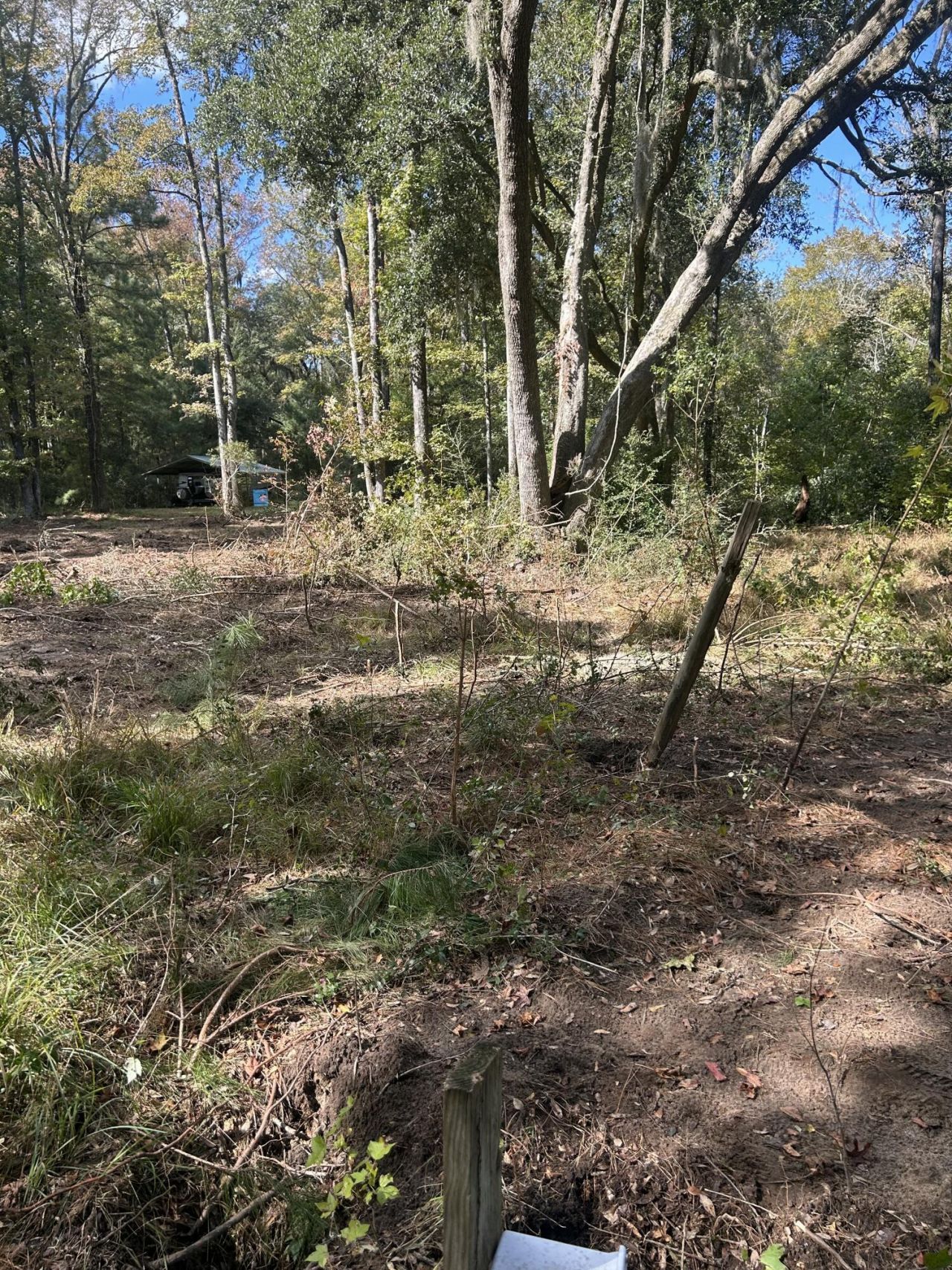 7887 Mary Seabrook Road Photo 34