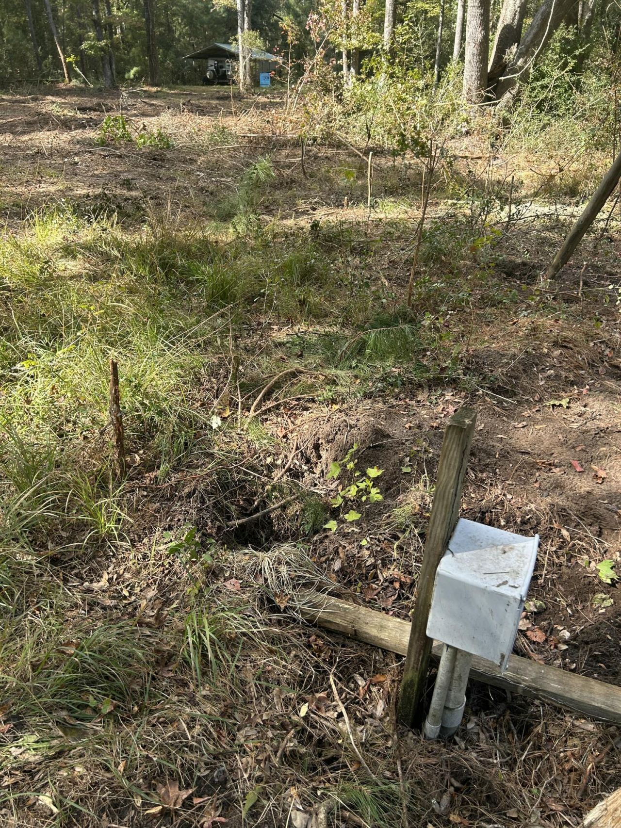 7887 Mary Seabrook Road Photo 36