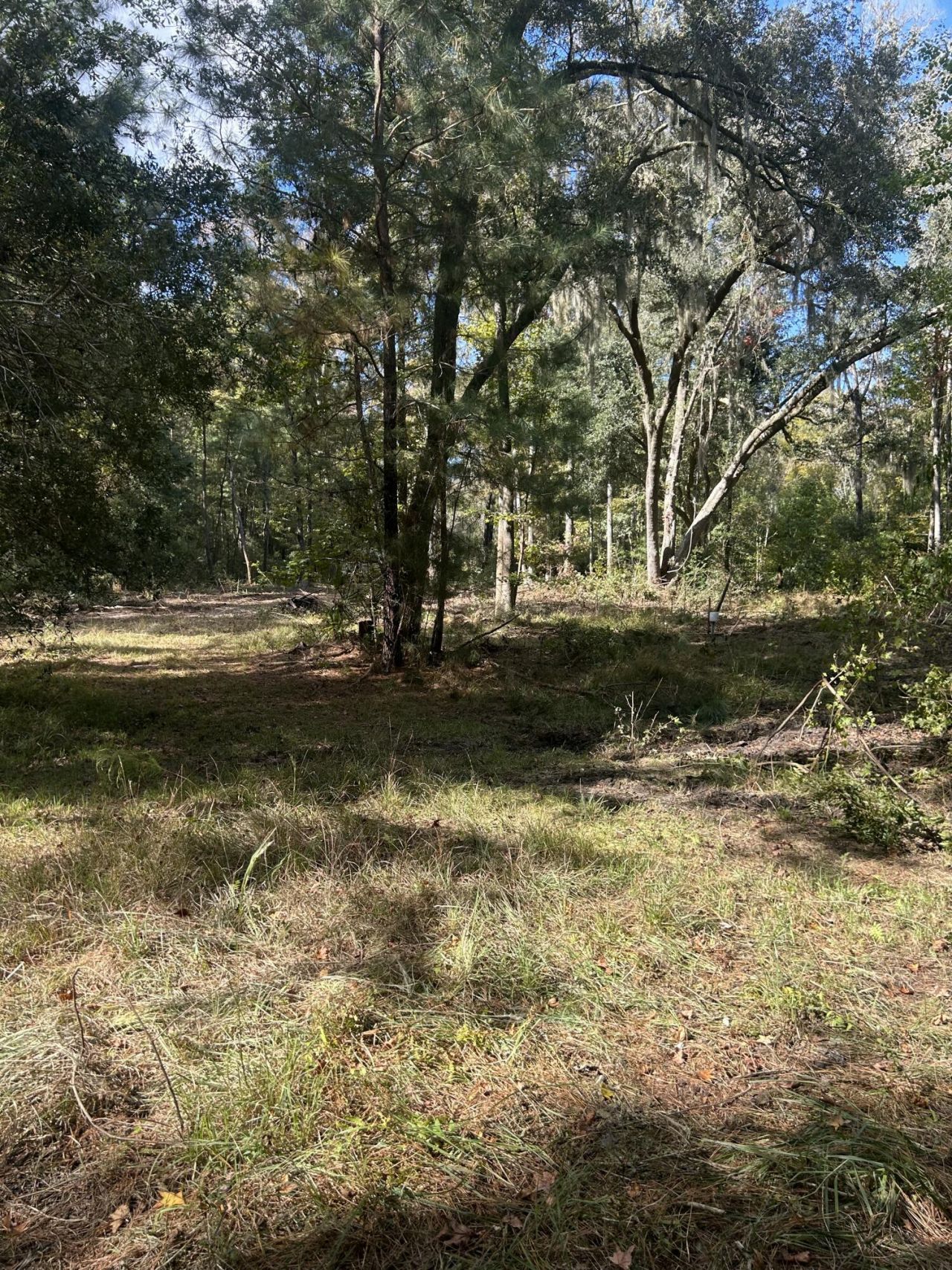 7887 Mary Seabrook Road Photo 37